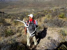 photo thumbnail #12
