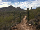 photo thumbnail #1