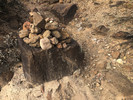 photo thumbnail #5