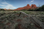 photo thumbnail #7