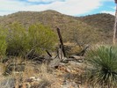 photo thumbnail #9