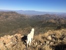 photo thumbnail #2