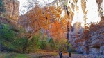 photo thumbnail #4