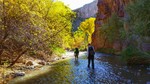 photo thumbnail #8