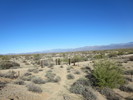 photo thumbnail #3