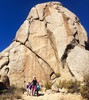 photo thumbnail #4