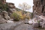 photo thumbnail #8