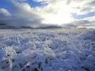 photo thumbnail #12