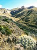 photo thumbnail #7