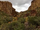 photo thumbnail #3