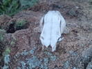 photo thumbnail #1