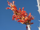 photo thumbnail #2