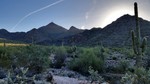 photo thumbnail #2