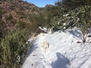 photo thumbnail #8
