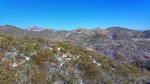 photo thumbnail #5