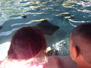 photo thumbnail #15
