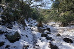 photo thumbnail #14
