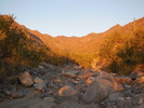 photo thumbnail #12