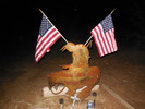 photo thumbnail #14