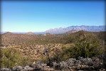 photo thumbnail #2
