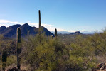 photo thumbnail #3