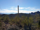 photo thumbnail #4