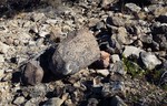 photo thumbnail #3