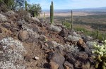 photo thumbnail #14