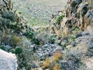 photo thumbnail #13