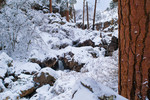 photo thumbnail #5