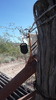 photo thumbnail #9
