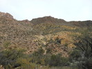 photo thumbnail #12