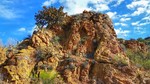 photo thumbnail #7