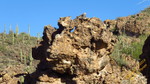 photo thumbnail #12