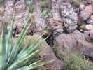 photo thumbnail #9