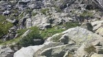 photo thumbnail #7