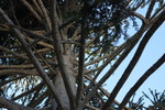 photo thumbnail #9