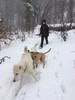 photo thumbnail #13