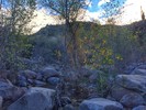 photo thumbnail #15
