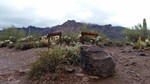 photo thumbnail #3