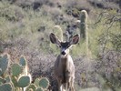 photo thumbnail #8