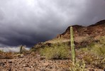 photo thumbnail #10