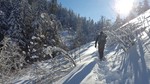 photo thumbnail #5
