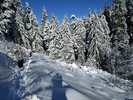photo thumbnail #14