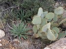 photo thumbnail #9