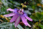 photo thumbnail #12