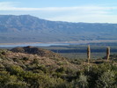 photo thumbnail #2