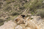 photo thumbnail #1