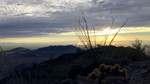 photo thumbnail #9