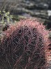 photo thumbnail #7